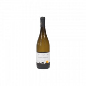 Bourgogne Aligoté "Vieilles Vignes", Domaine Manuel Olivier